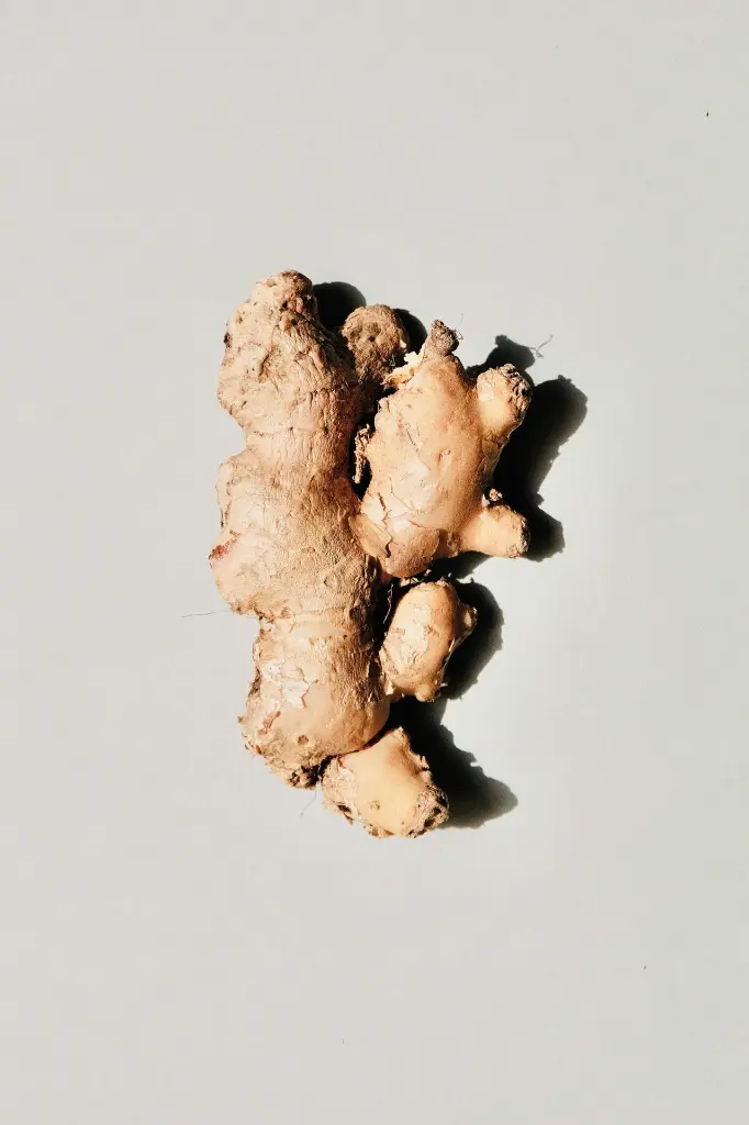unsplash_trGaaSlz6d0_Ginger.webp