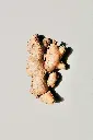 unsplash_trGaaSlz6d0_Ginger.webp