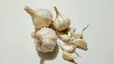 unsplash_7aLcC15W59w_garlic.webp