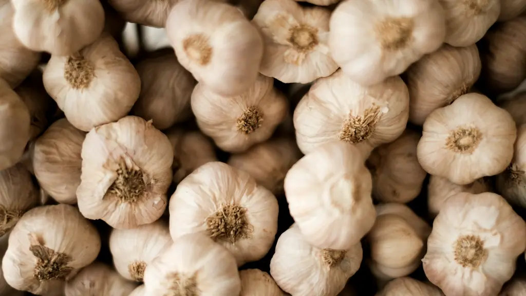 unsplash_UtofucNG3oU_garlic.webp.jpg