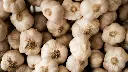 unsplash_UtofucNG3oU_garlic.webp.jpg